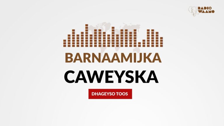 Barnaamijka Caweyska ee Idaacadda Waamo