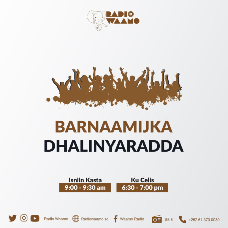 Barnaamijka Dhalinyarada ee Idaacadda Waamo