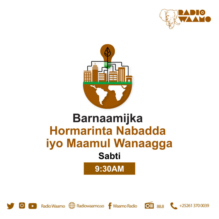 Barnaamijka Hormarinta Nabadda iyo Maamul Wanaagga ee Idaacadda Waamo