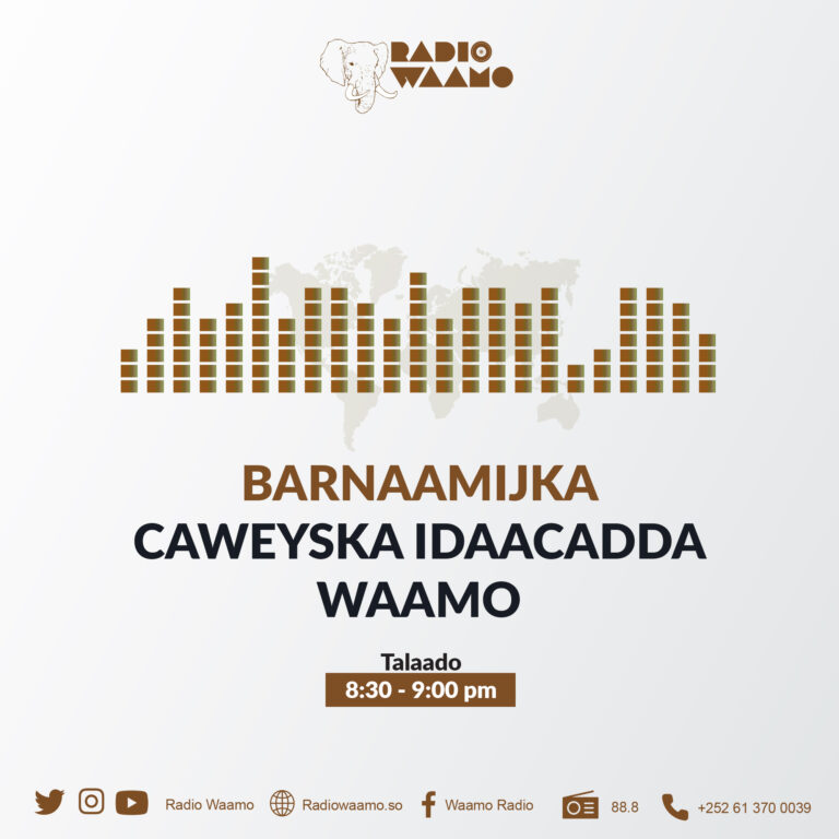 Barnaamijka Caweyska ee Idaacadda Waamo