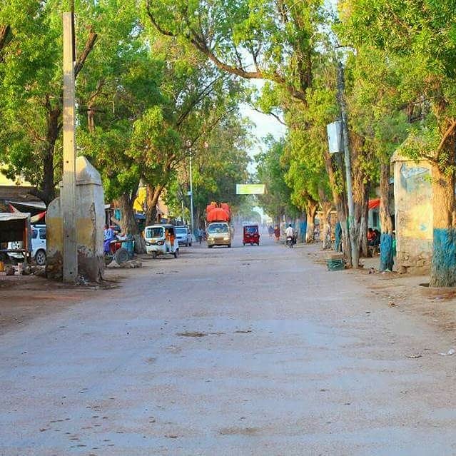 Dhalinyarada shaqa abuurka sameeystay Baladweyne oo Dhalinyarada kale ugu baaqay in ay ka joogaan tahriibka