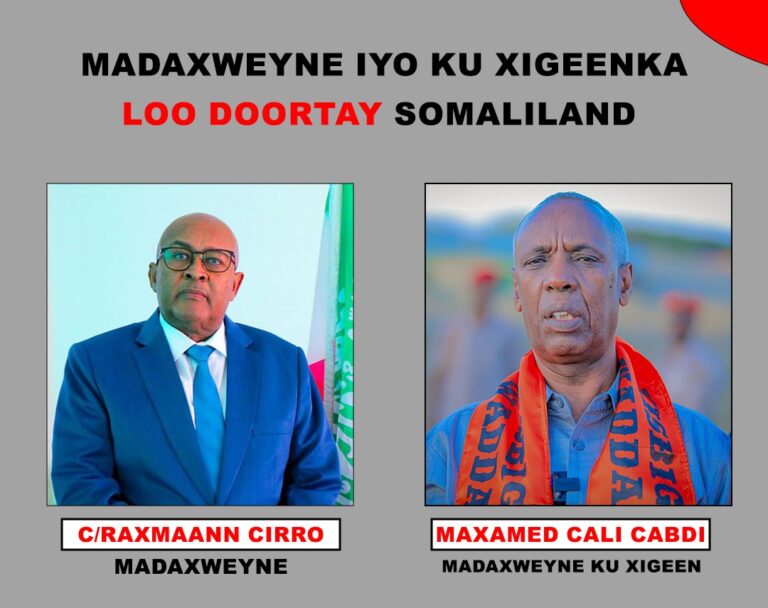 Guddiga Doorashooyinka Somaliland oo ku dhawaaqay Natiijada Doorshadii dhacday