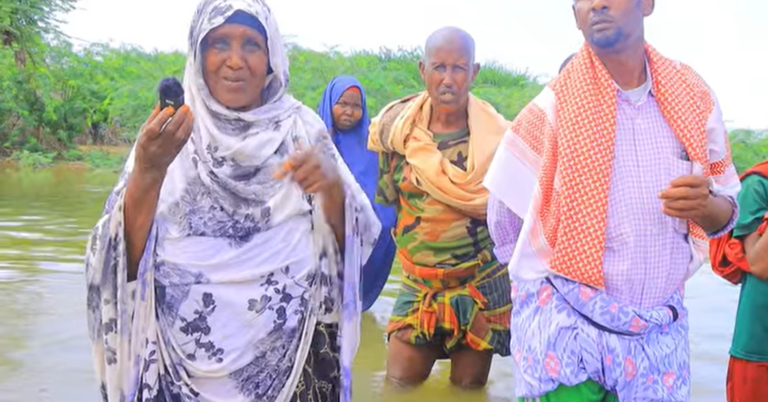 Barakacayaasha deegaanada hoos-taga degmada Balcad oo codsaday Gargaar