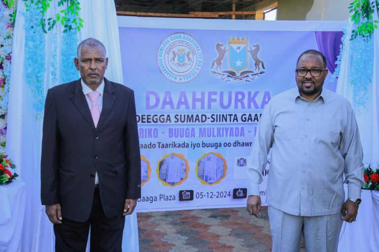 Adeegga sumad-siinta Gaadiidka oo laga daah-furay Buuhoodle