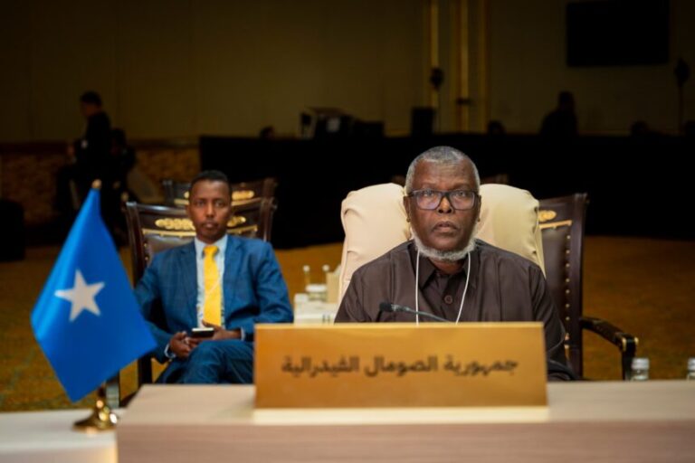 Agaasimaha Wasaaradda warfaafinta DFS oo Abu Dubi shir uga qaybgalay