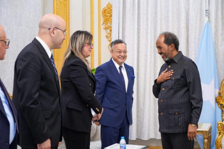 Madaxweyne Xasan Sheekh oo qaabilay wafdi sare oo ka socday Dowladda Algeria