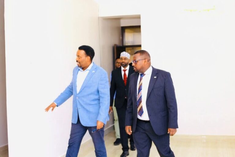 Guddoomiye kuxigeenka Labaad Golaha Shacabka oo booqday Xarunta Safaaradda JFS ee dalka Tanzania