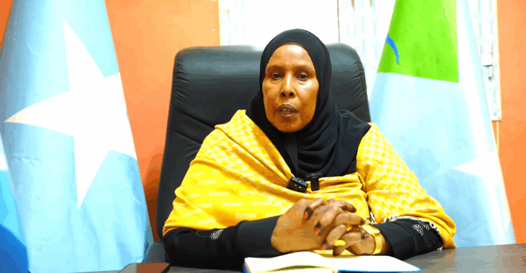Magaalada Baladweyne Oo Laga Hirgelinayo Mashaariic Hormarineed