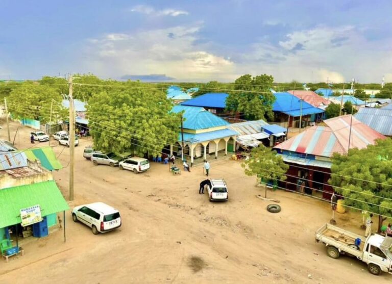 Bulshada Dhoobley oo kawarbixiyay kaalinta dibu heshiisiinta ee Horumarinta Nabadda