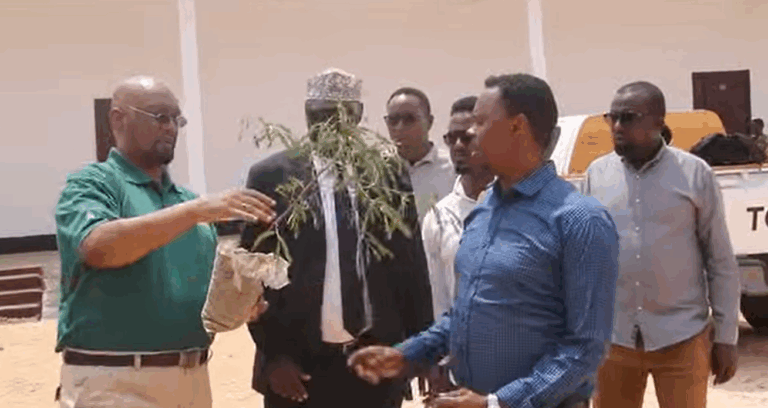 Wasaaradda Deegaanka Jubbaland oo boqol geed oo ku wareejisay hay’adda Gift of the Giver