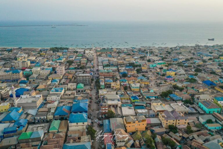 Dhalinyarada wax kabarta Jaamacahadaha Magaalada kismaayo oo lagu dhiirageliyay barashada cilmiga Beeraha